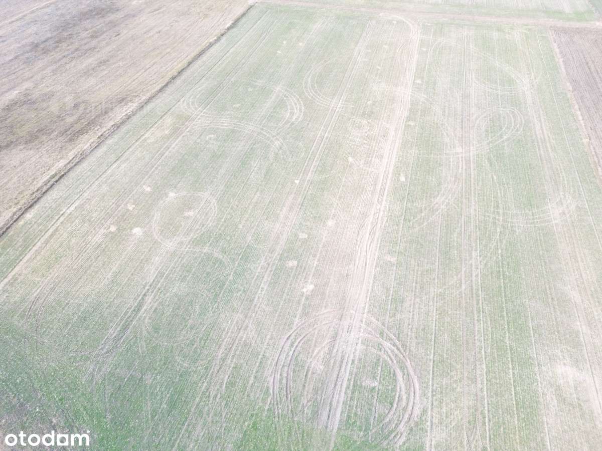 Działki budowlane na sprzedaż – Wymysłowo, Gniezno - Pełny obrazek: 5/8