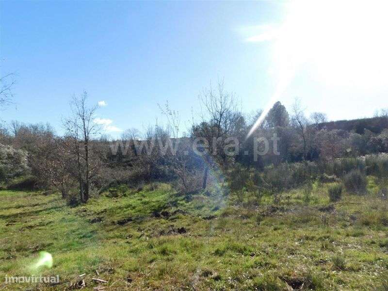 Terreno para Construção / Fundão, Pesinho - Grande imagem: 3/4