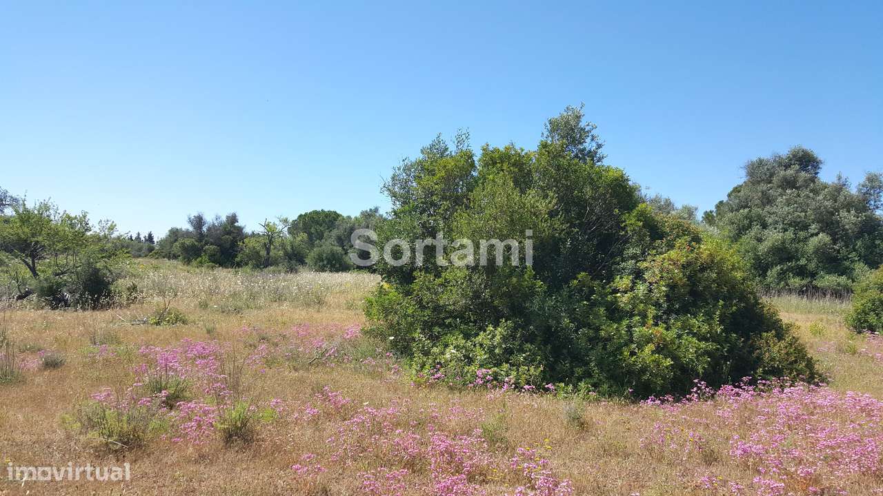 Terreno Para Construção  Venda em Armação de Pêra,Silves - Grande imagem: 4/12