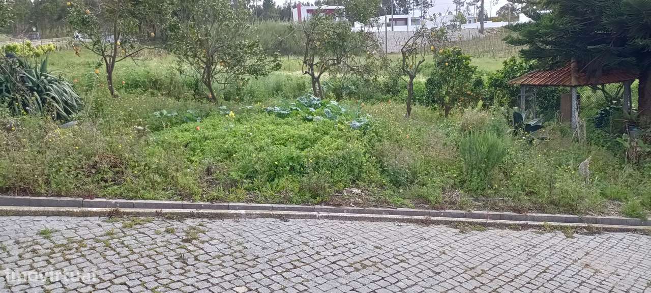 Quintinha Valado Frades Nazaré -Leiria-7