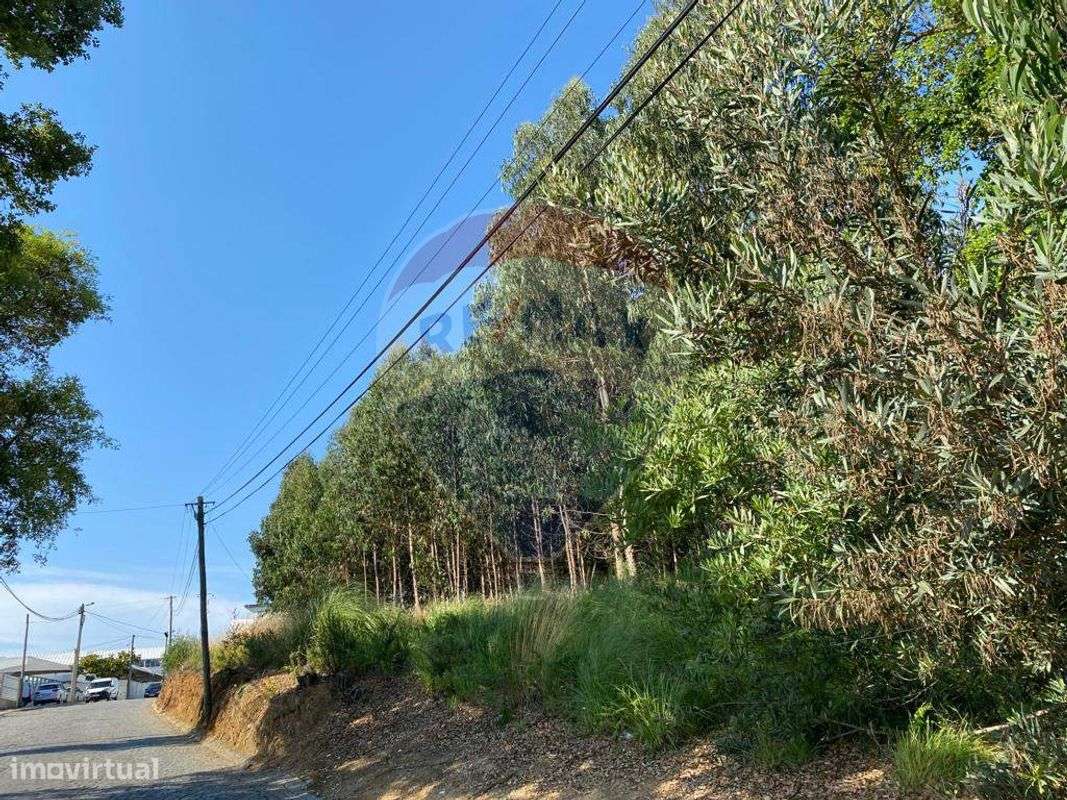 Terreno  para venda - Grande imagem: 3/6