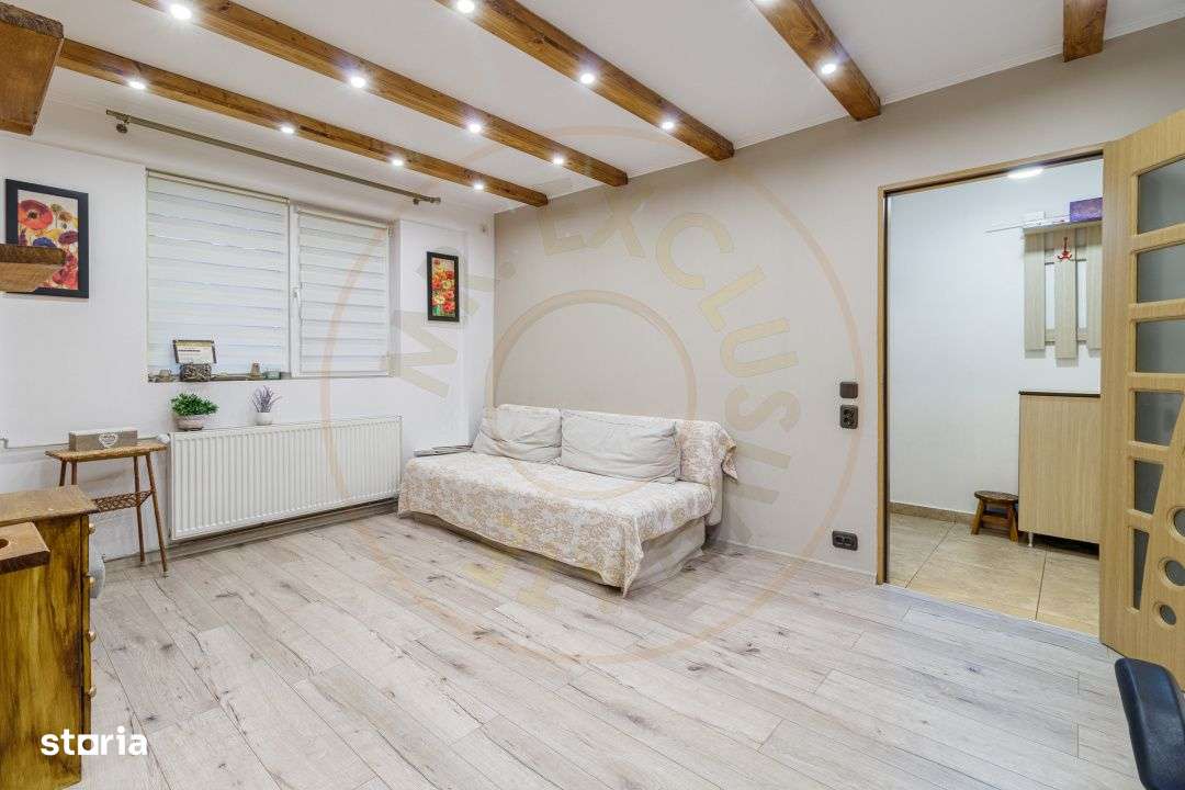 Apartament 2 camere Timisoara-Plaza-4