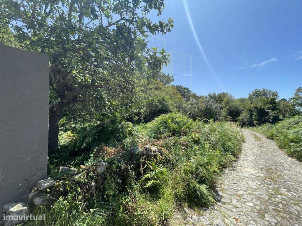 Terreno de construção em Afife. - Grande imagem: 3/21