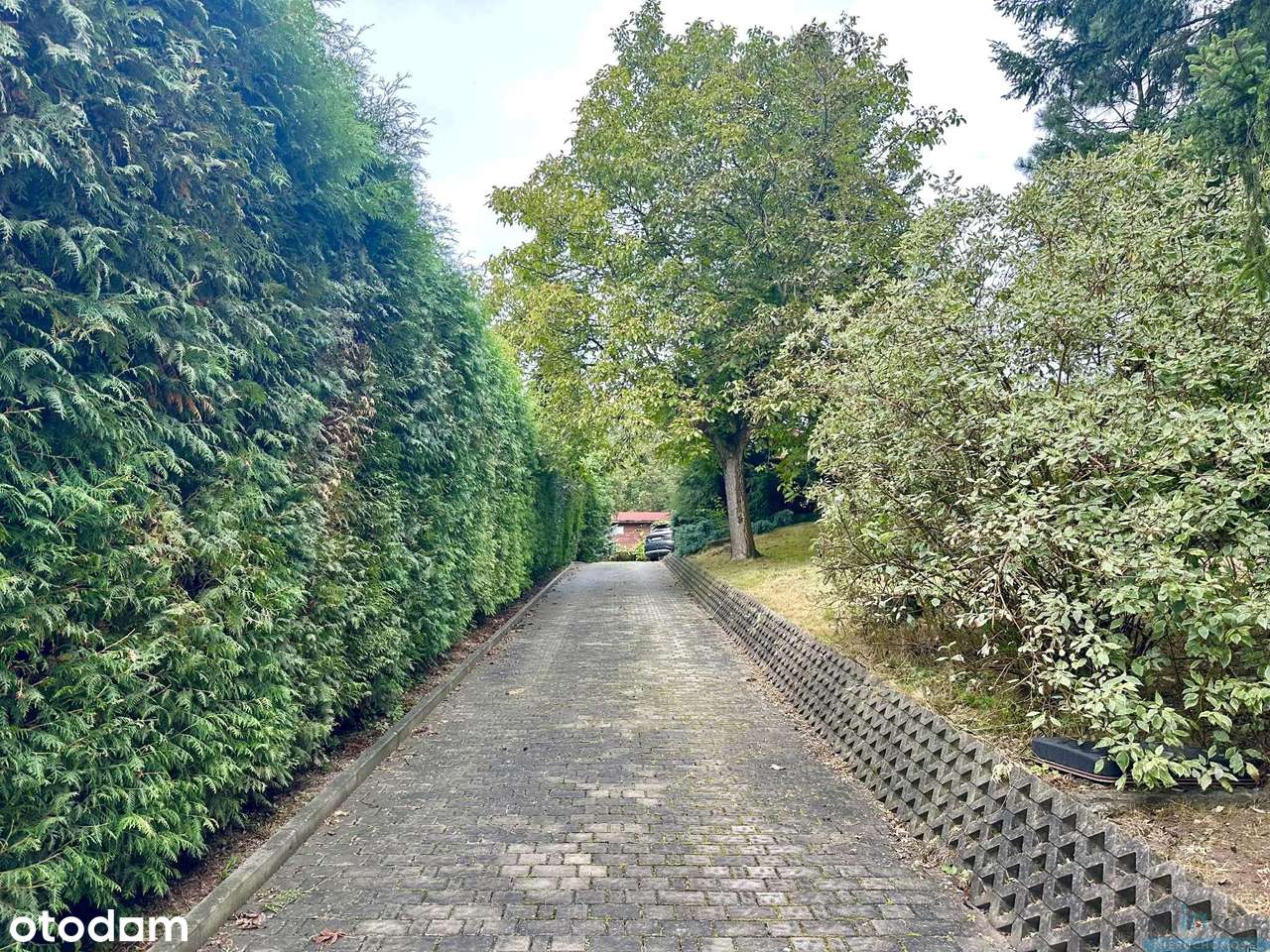 Dom z potencjałem |  22ar działka |  tylko 9 km od Rynku Głównego-19