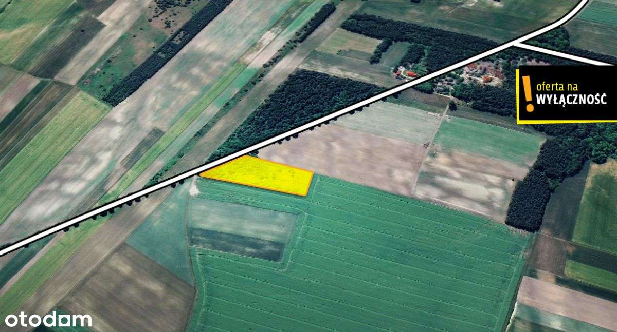 Działka rolna Wierzbie - 11000 mkw.-1