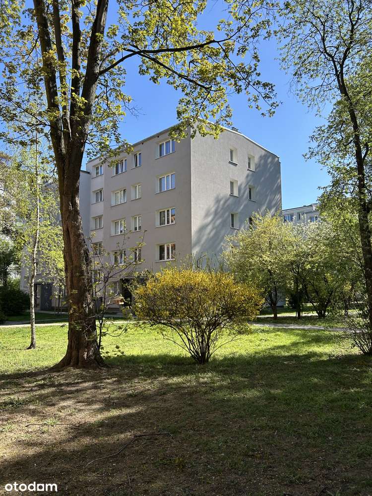 Piękna kawalerka w dobrym punkcie*Narożna*Widna*Możliwe 2 pok*BEZPOŚR – pohled 6