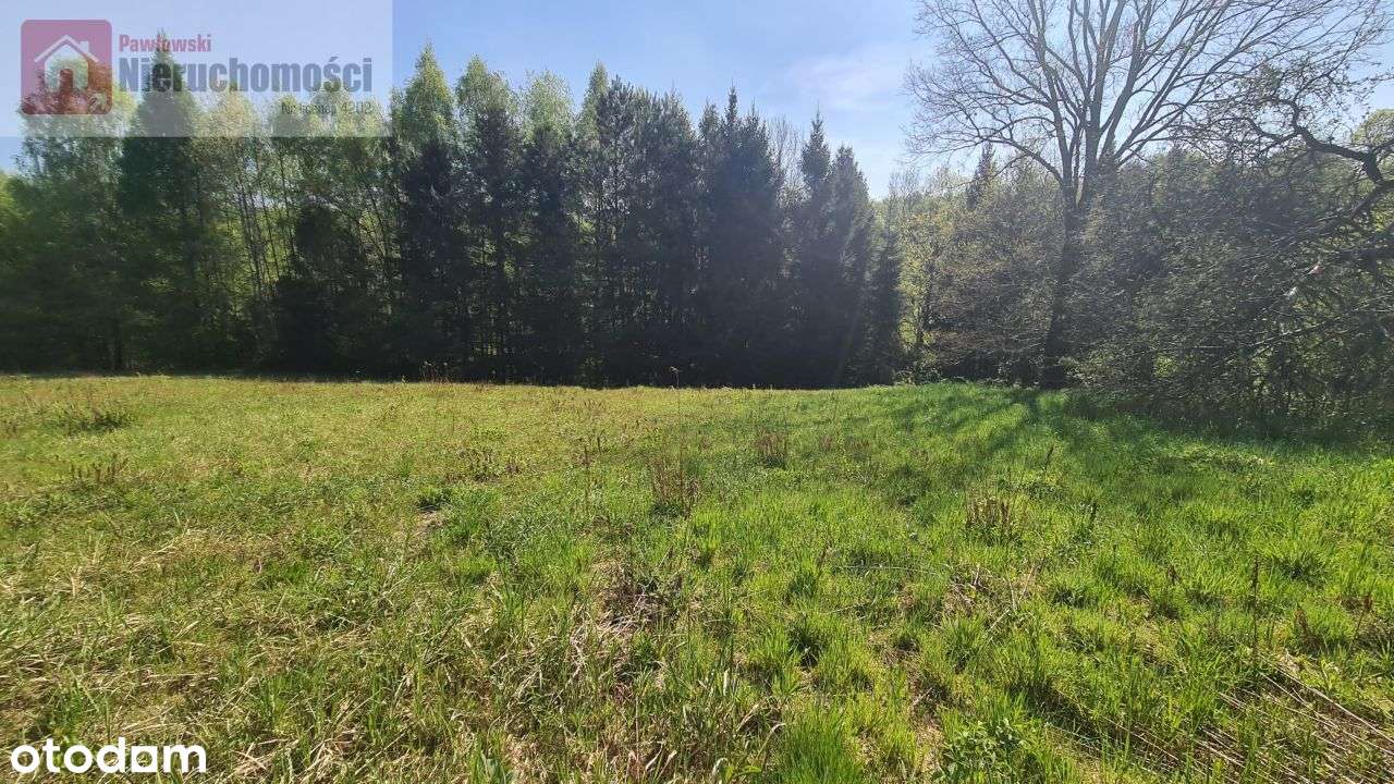 Działka, 3 098 m², Kopytówka - Pełny obrazek: 5/10