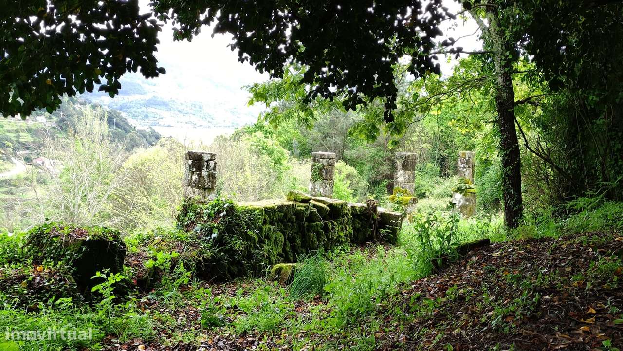 Quinta  Venda em Penhalonga e Paços de Gaiolo,Marco de Canaveses-31