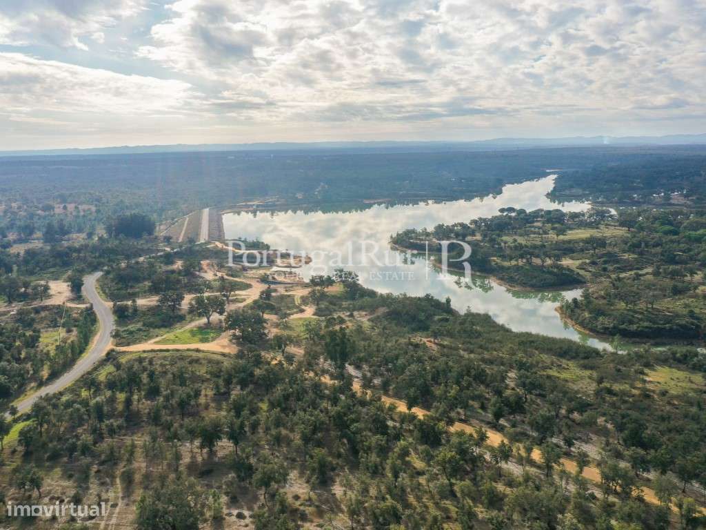 Quinta de 5 hectares, com 2 moradias e piscina-49