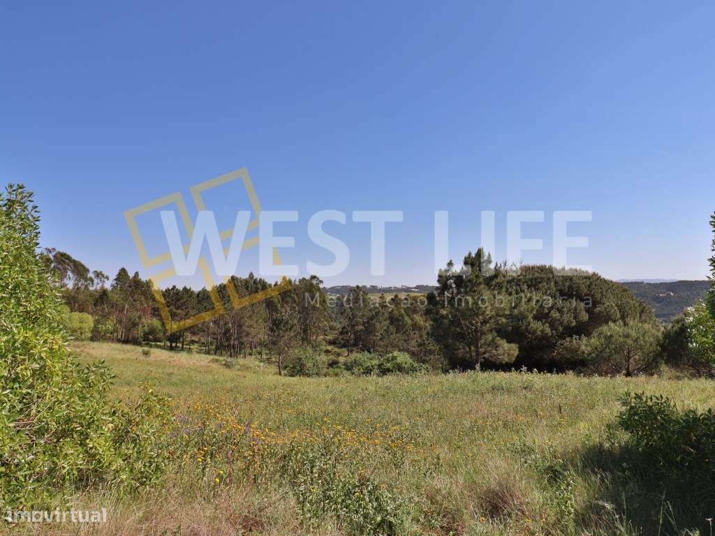 EXCLUSIVO West Life - Terreno Rústico de 4810m2 com poço e fantásti... - Grande imagem: 4/18