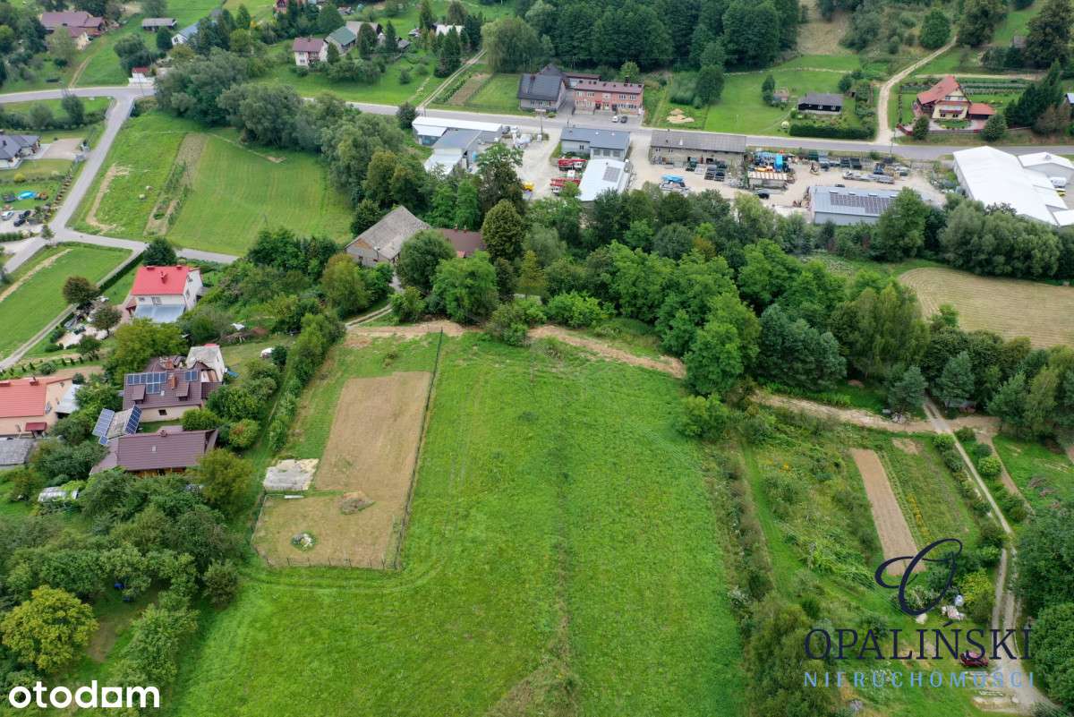 Działka budowlana 21ar z warunkami zabudowy na dom - Pełny obrazek: 5/10