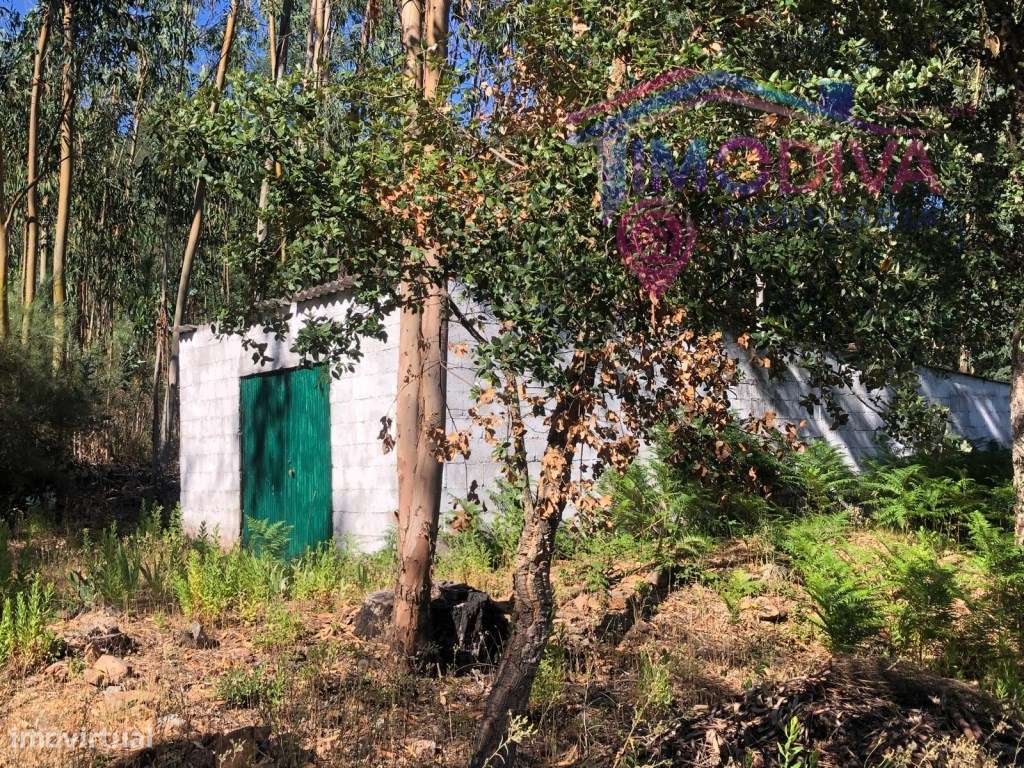 Arrecadação e terreno em Castanheira de Pera-8