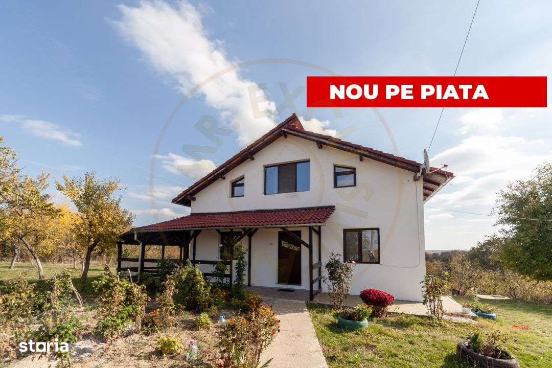 Casa P+M cu teren 2788 mp COCU -RACHITELE ARGES-0