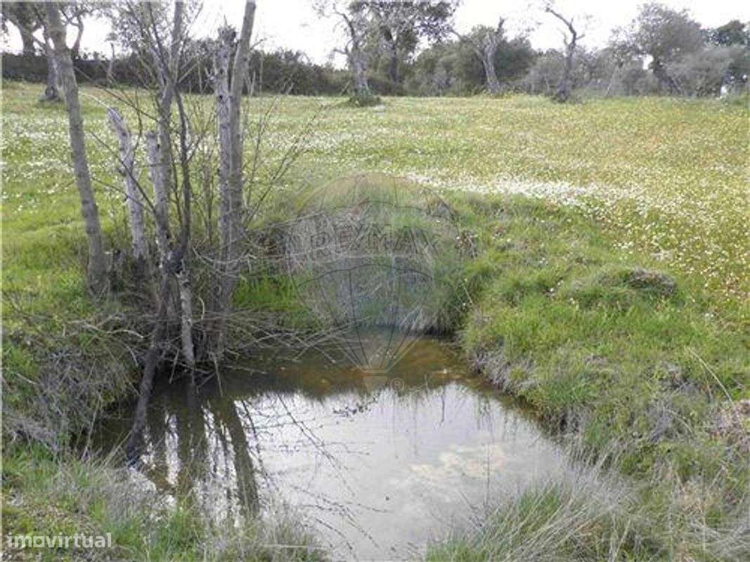 Quinta T0 para venda - Grande imagem: 5/23