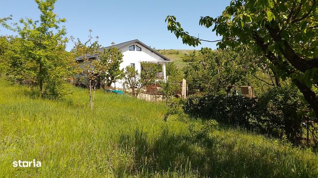 Teren de Vânzare – Chicerea, Tomești – 1.188 mp  Zonă de Case Noi-0
