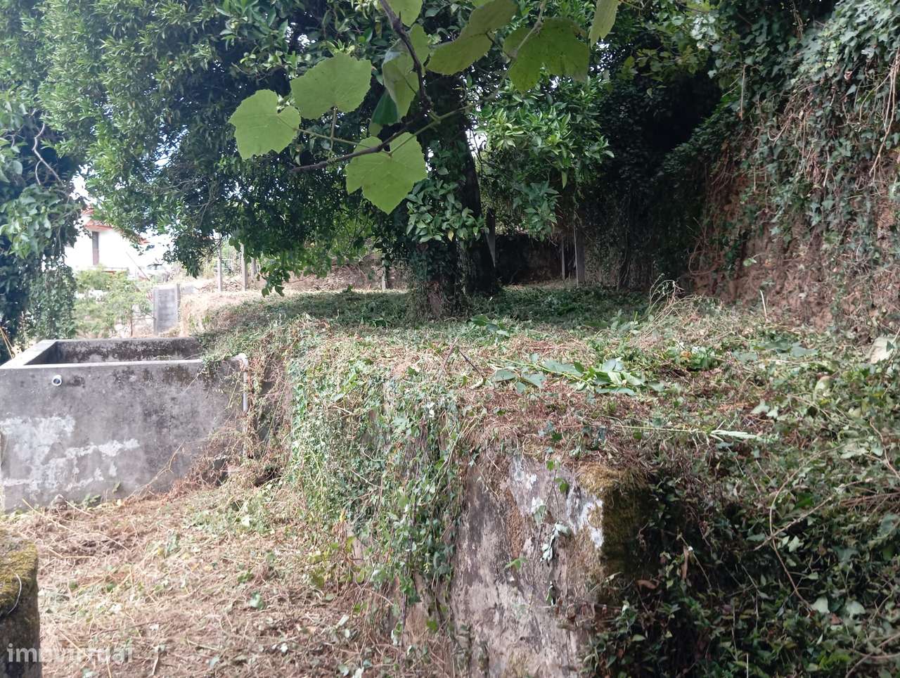 Lote Urbano para Construção em Macinhata da Seixa-17