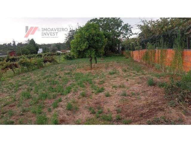 Moradia Independente Oportunidade Única - Grande imagem: 5/19