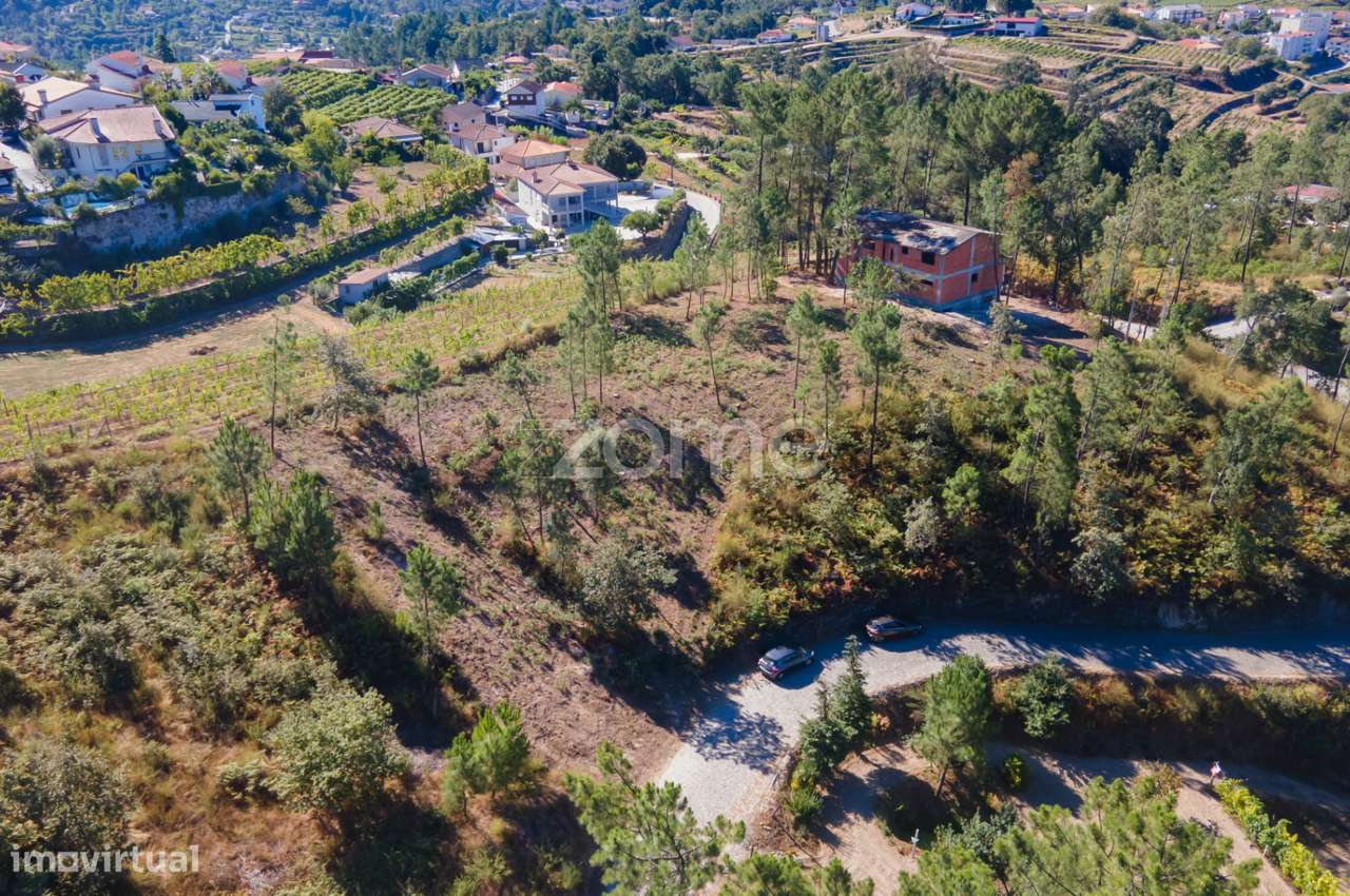 3 Terrenos Rústicos em Gatão, Amarante. - Grande imagem: 2/49