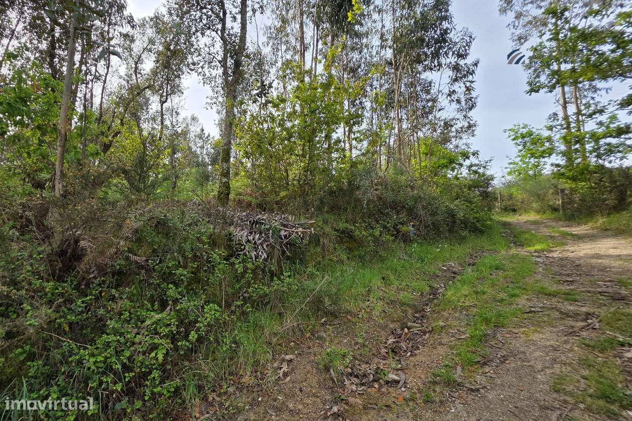 Terreno construção c/ 4000m2 Paços de Sousa, Penafiel - Grande imagem: 2/28