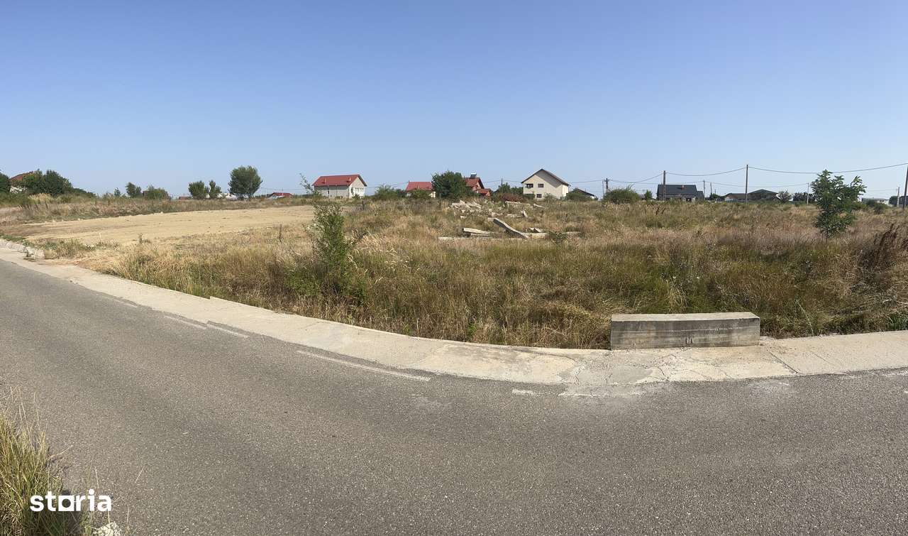 Teren 1139mp Albota-6