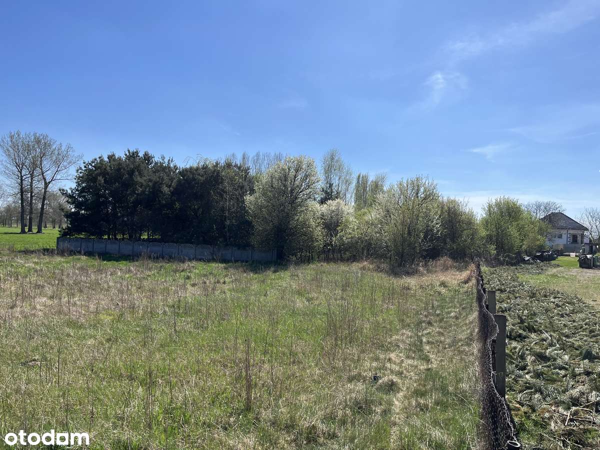 Działka z domem pod lasem - Nowa Cena - Pełny obrazek: 5/12