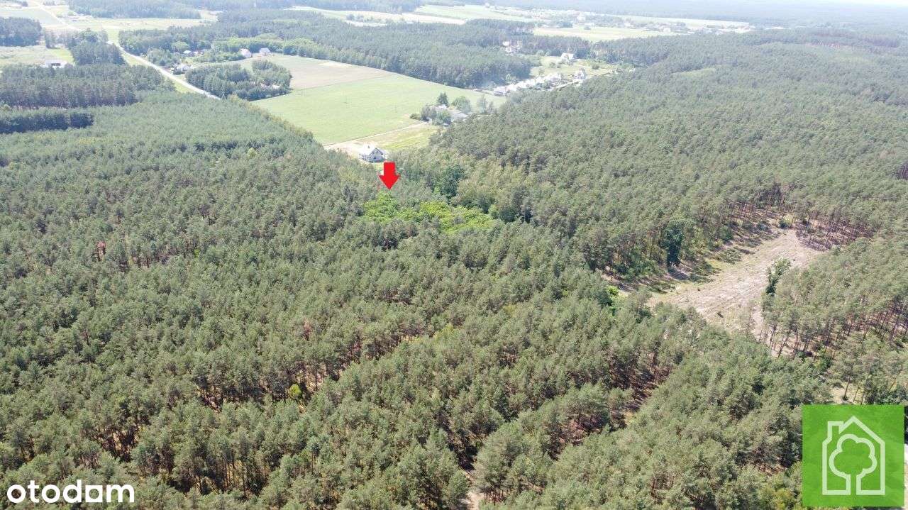 Działka, 3 517 m², Obrowo - Pełny obrazek: 5/10