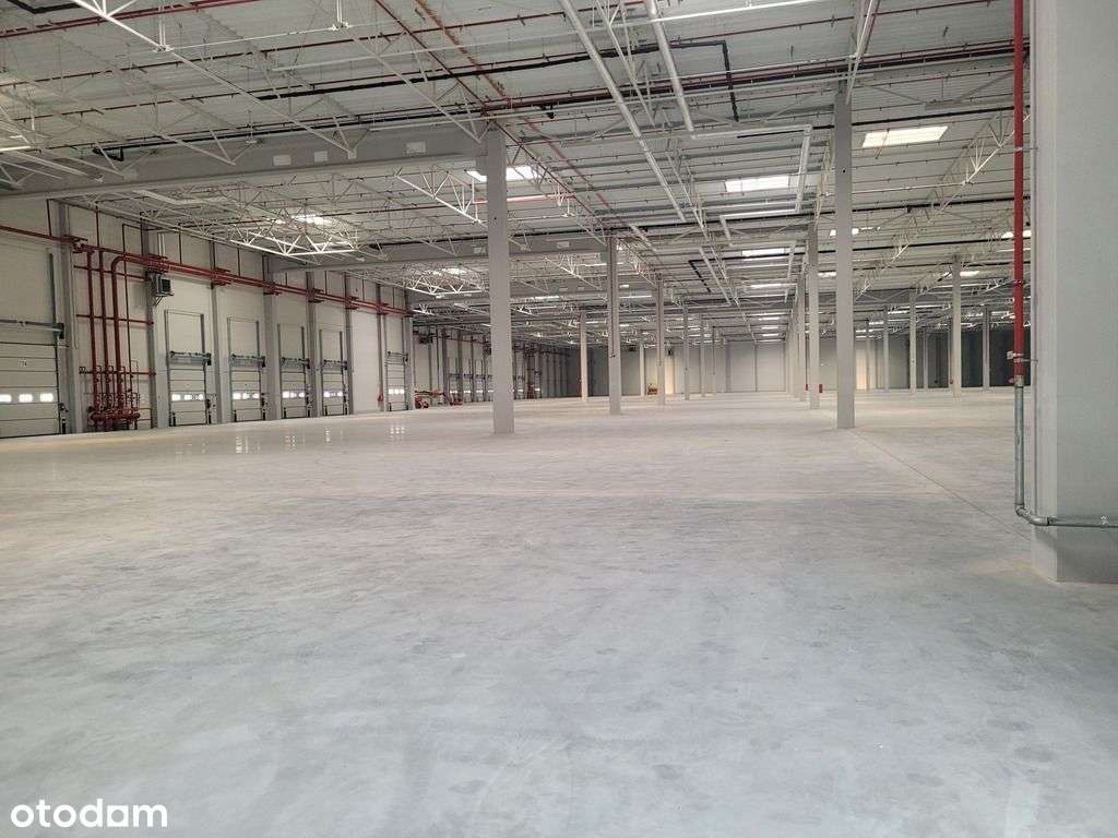 Park Magazynowy - Pełny obrazek: 5/15