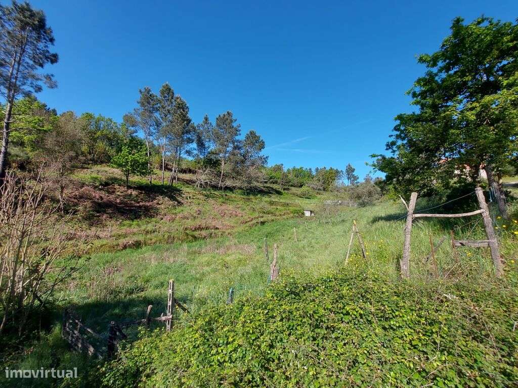 Venda Terreno - Grande imagem: 5/11