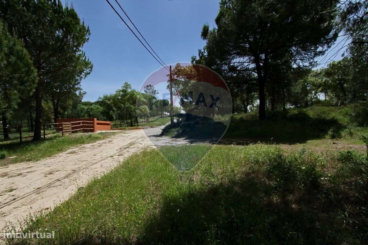 Terreno  para venda - Grande imagem: 4/12