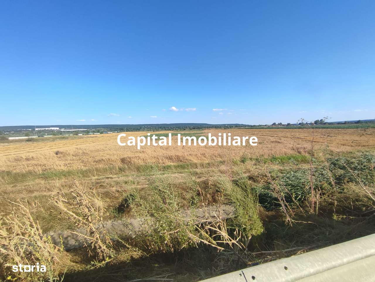 OFERTĂ PREMIUM – Teren intravilan 6.000 mp, Micești (Arges), pe DN 73 - Imagine principală: 5/7