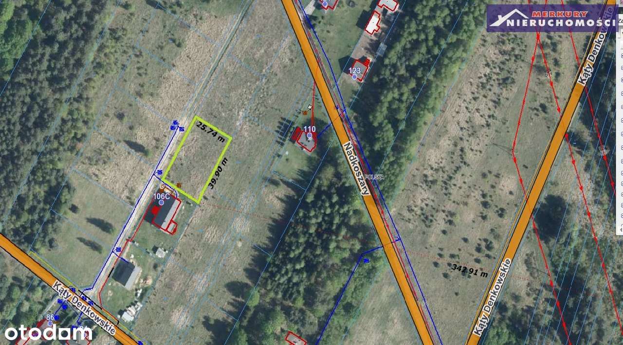 Na nowym osiedlu w pobliżu lasu-1