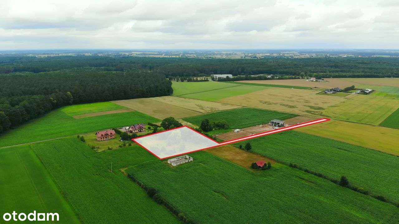 Szabda. Działka z domem i warunkami zabudowy - Pełny obrazek: 5/20