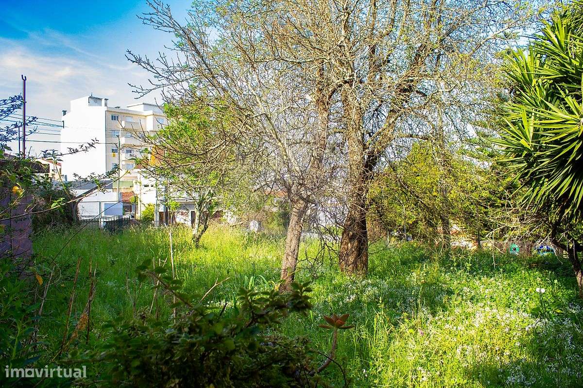 Terreno  para venda - Grande imagem: 5/14