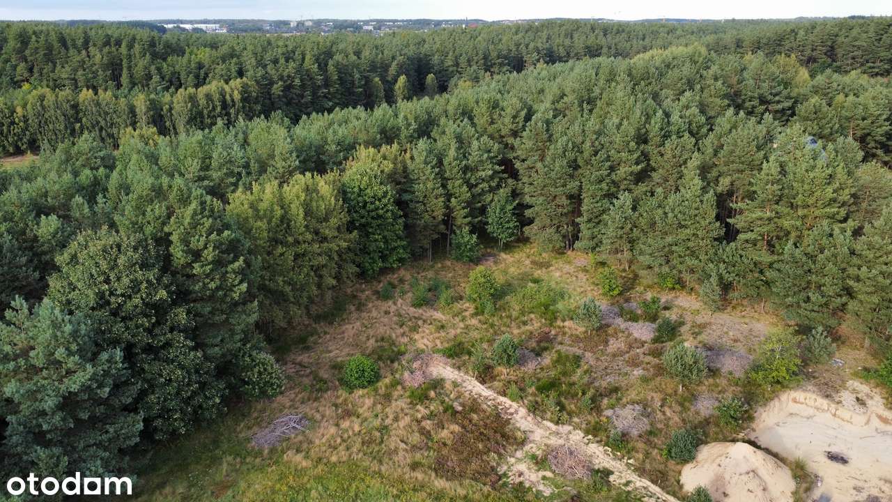 Działka budowlana 1193 m² | Chwaszczyno | Las | 20 min od Gdyni