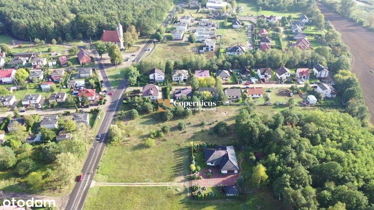 Grabowiec - Super Lokalizacja - Duża działka - Pełny obrazek: 4/8