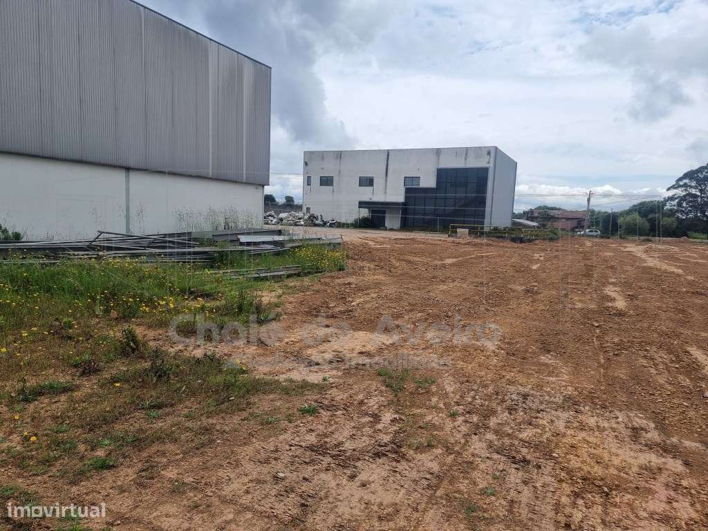 Armazém Industrial (Albergaria-a-Velha)-3