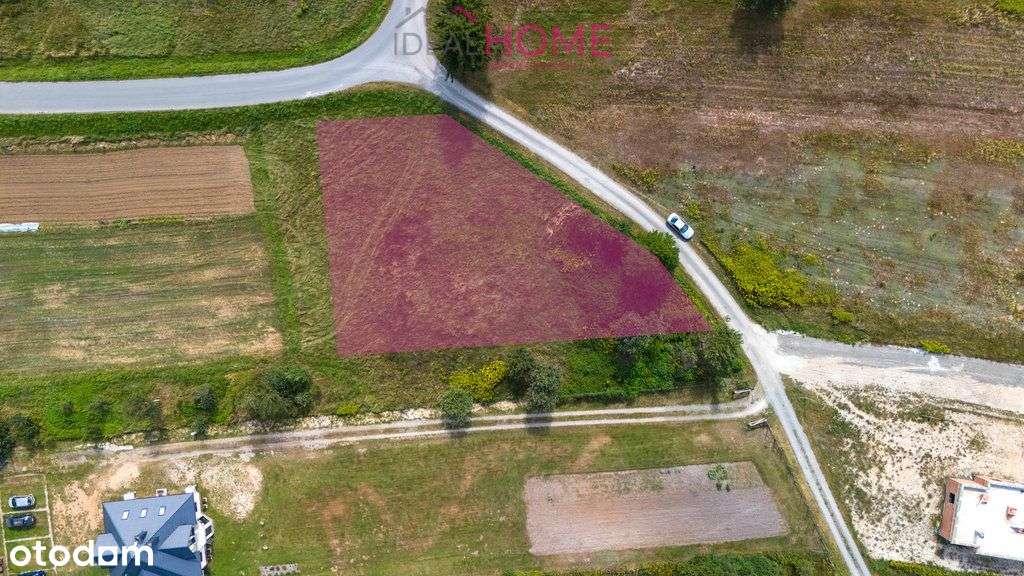 Działka budowlana blisko lasu - Trzeboś - Pełny obrazek: 3/14