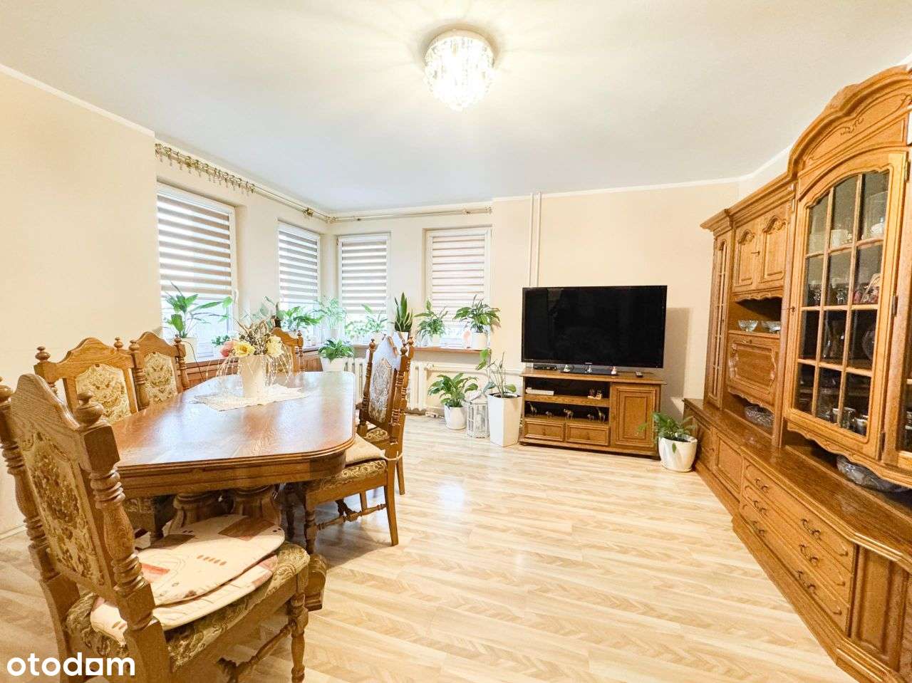 Oferta sprzedaży mieszkania w centrum Szczecina - Pełny obrazek: 5/13