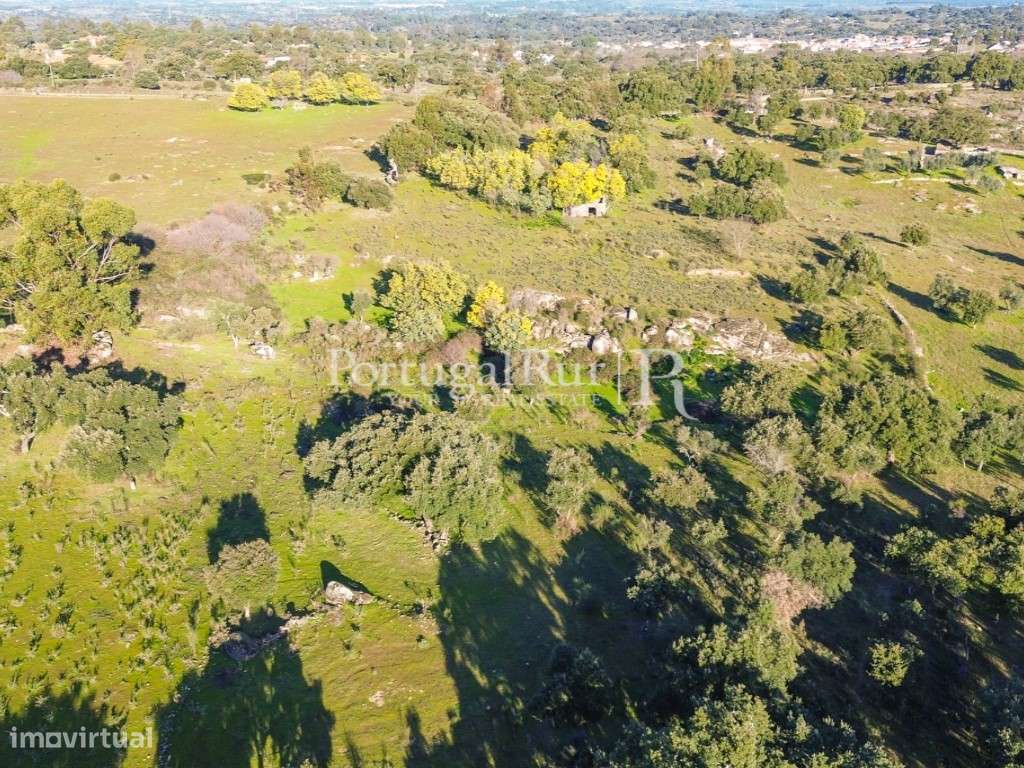 Quintinha com 1,2ha e ruína urbana em São Miguel Acha-20