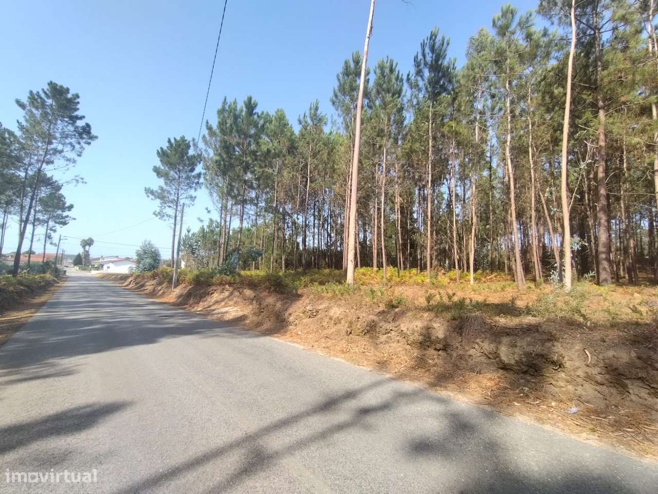 Terreno / Construção / Bidoeira de Baixo / Leiria - Grande imagem: 4/5