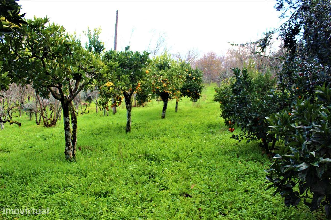 Solar do sec. XVII em Mesquitela, Mangualde-13