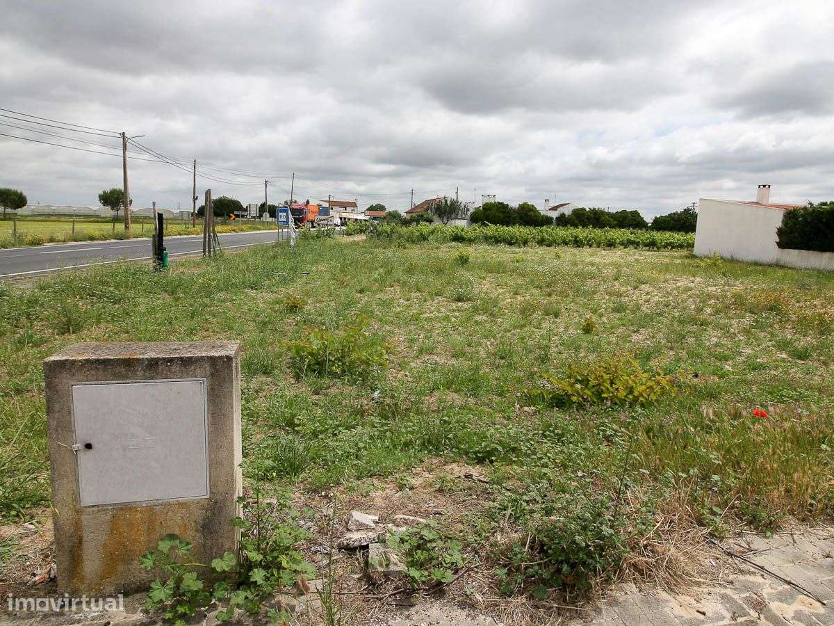 Lote - Grande imagem: 4/4