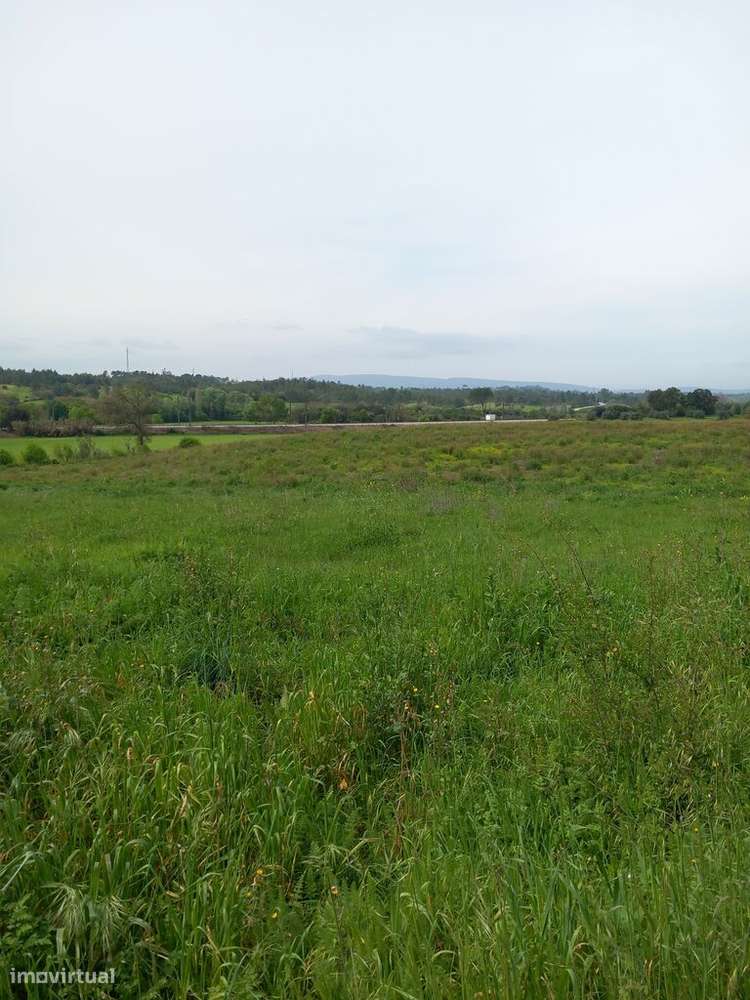 Venda Terreno - Grande imagem: 4/4