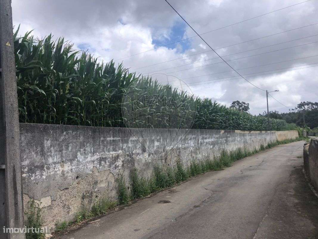 Terreno  para venda - Grande imagem: 5/6