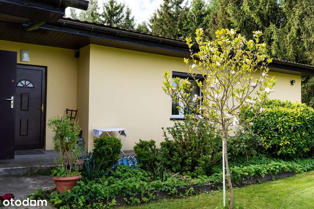 Dom z potencjałem, 1,6 HA ZIEMI + STAW-6