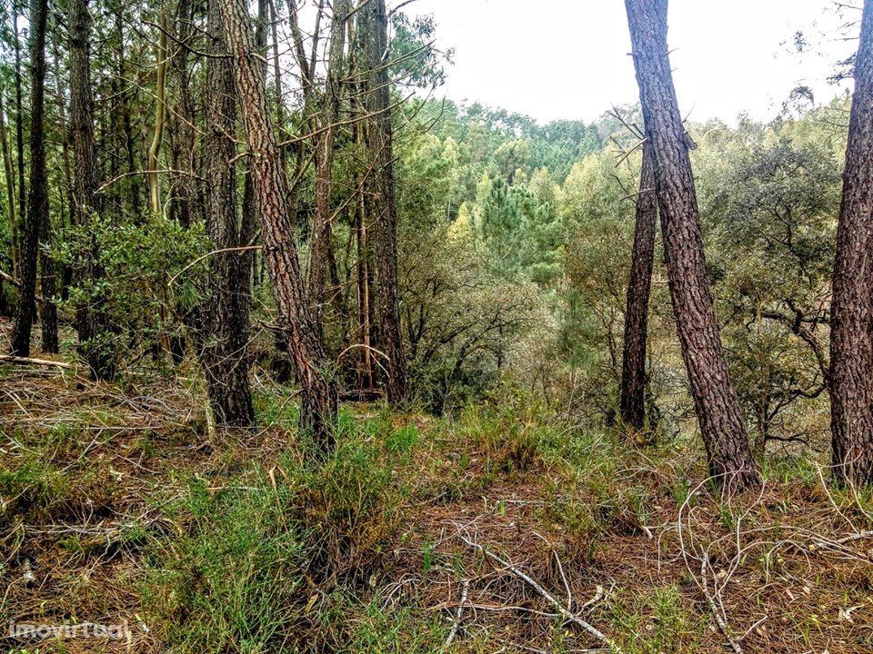 Terreno com viabilidade de construção Ferreira do Zêzere