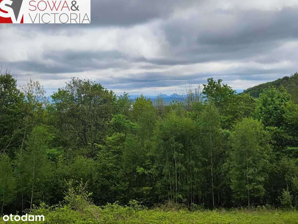 Działka usługowo - leśna w Piechowicach - Pełny obrazek: 2/5