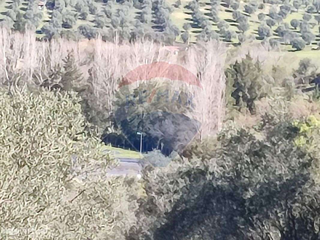 Terreno  para venda - Grande imagem: 5/7