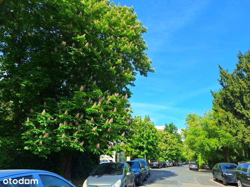 Borek, stylowa willa, taras, miejsce parkingowe, ogródek, cisza,zieleń-16