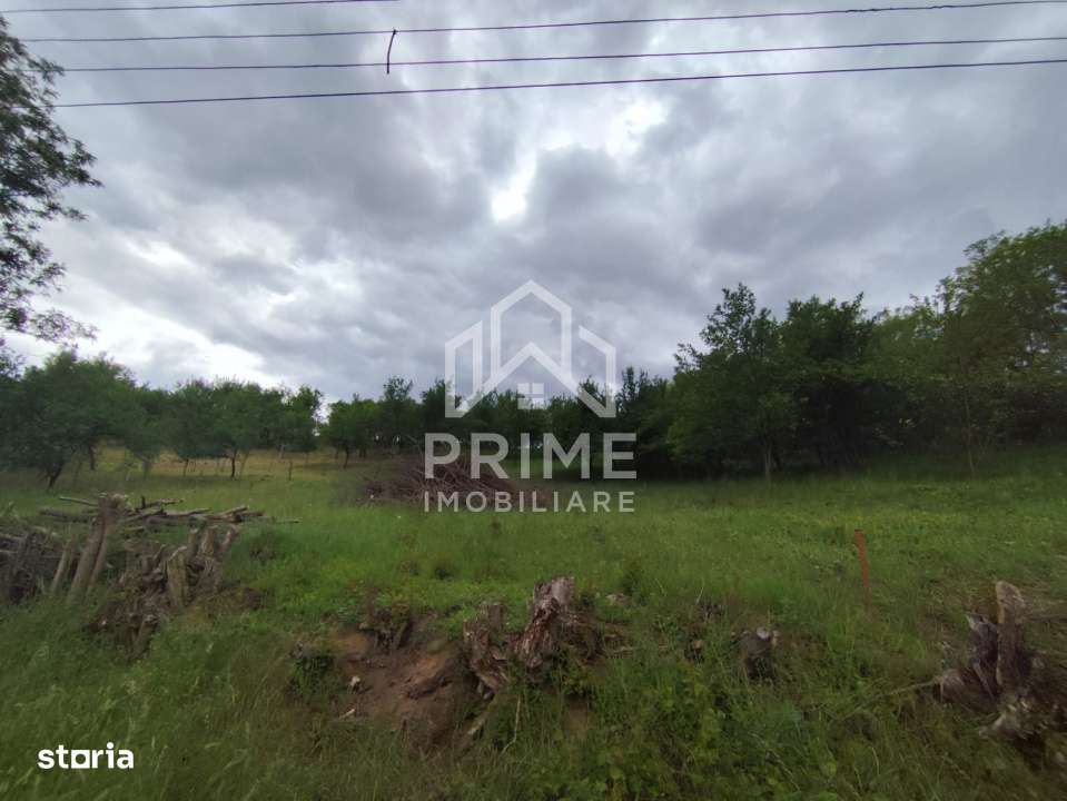 Teren intravilan de 1.900 mp, zona Oarda de Sus - Imagine principală: 3/3